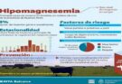 Hipomagnesemia: la enfermedad silenciosa que ya provocó la mortandad de miles de vacas en la Provincia